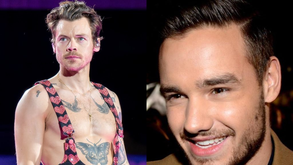 Harry Styles and Liam Payne