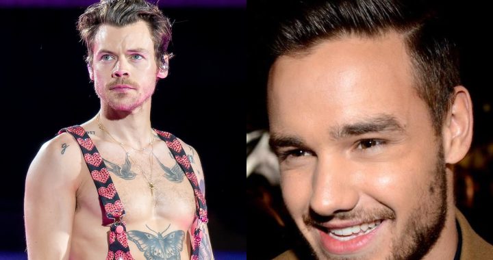 Harry Styles and Liam Payne